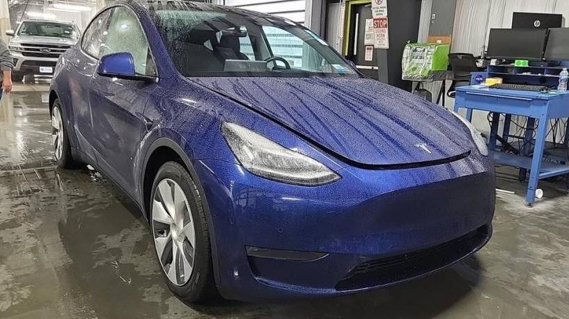 TESLA MODEL Y 2021 5YJYGDEE2MF064252 image